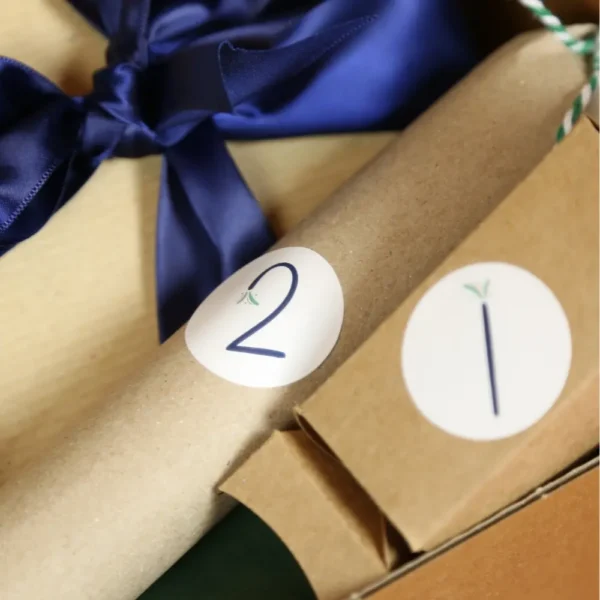 paquet 2 du calendrier après noël Jour K