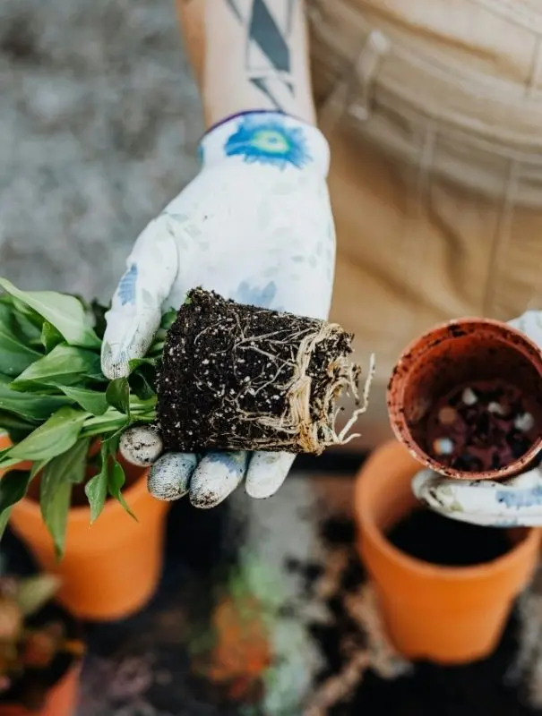 mug original pour un cadeau de noël féminin