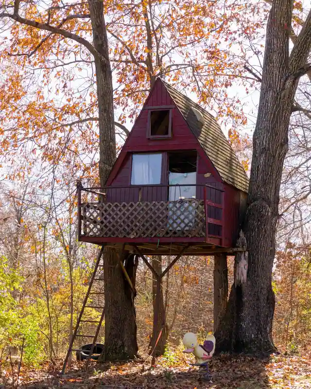 expérience insolite à offrir pour la saint-valentin