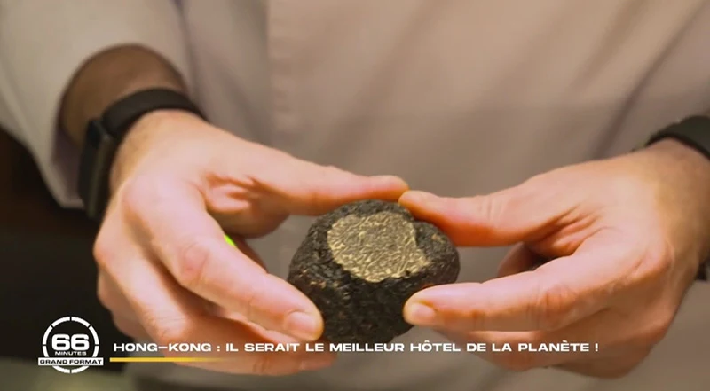 reportage M6 66 minutes meilleur hôtel monde Rosewood Hong Kong