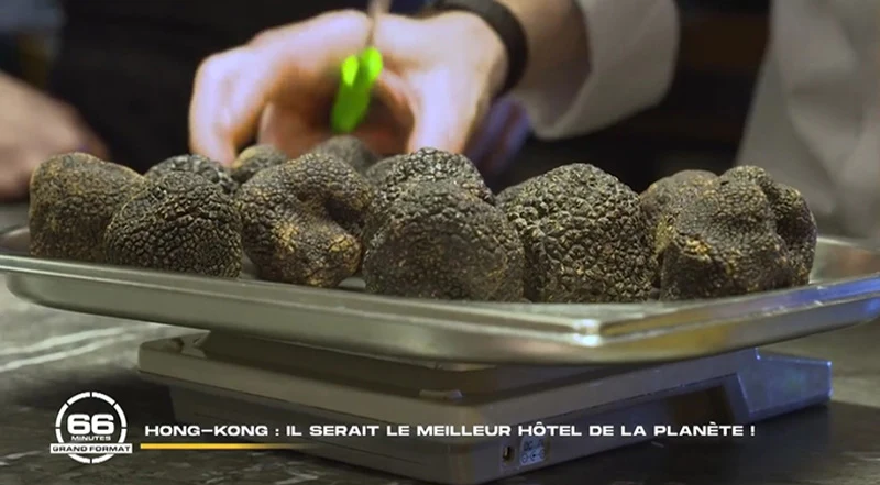 reportage M6 66 minutes meilleur hôtel monde Rosewood Hong Kong