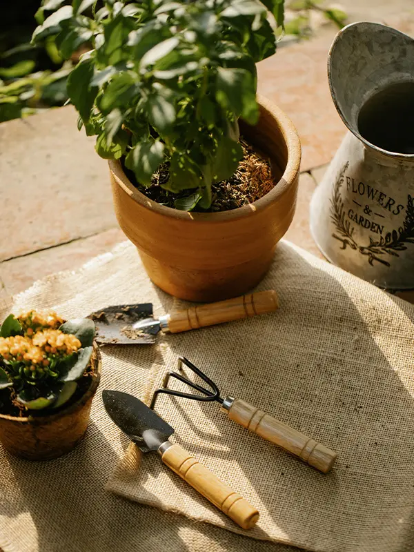 Kit de jardinage - Idée cadeau noël pour un homme kit de jardinage - cadeau à offrir à un homme à noël